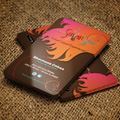 W Graphic Design Studio