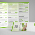 W Graphic Design Studio